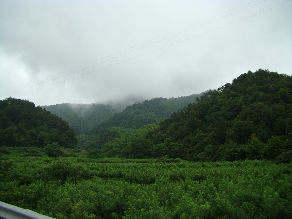 云里雾里