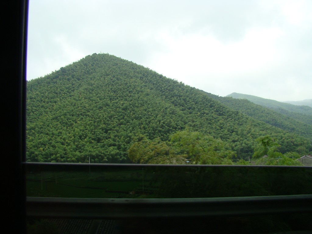 DSC02909.JPG