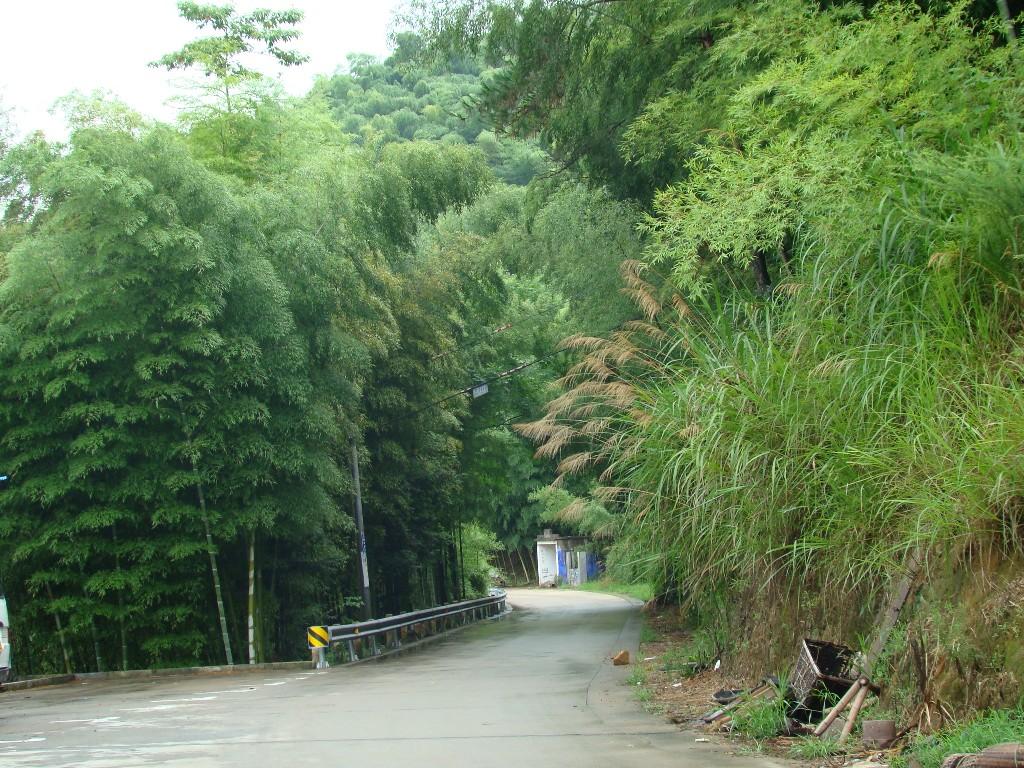 小道