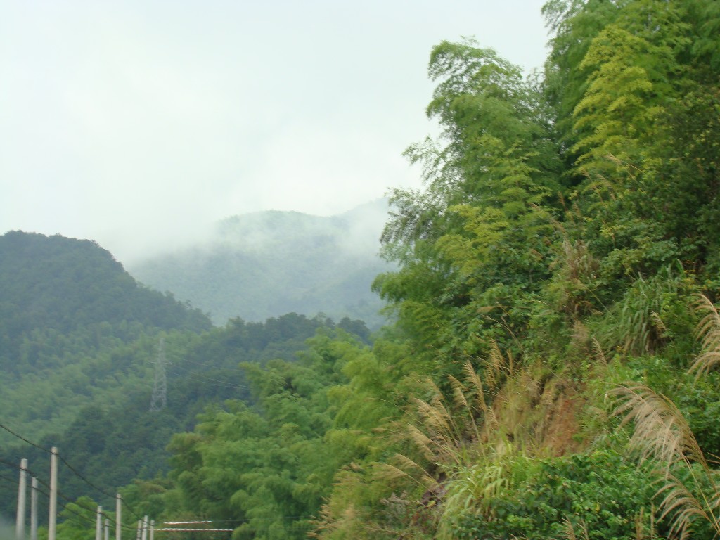 主峰烟雨郁郁