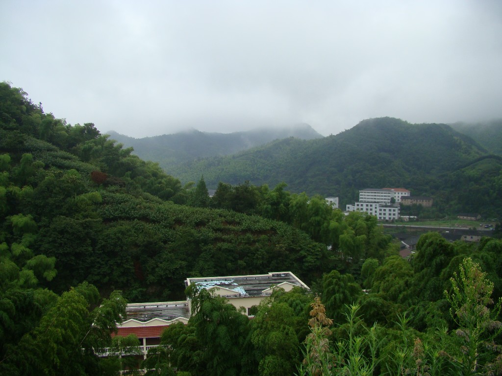 DSC02980.JPG