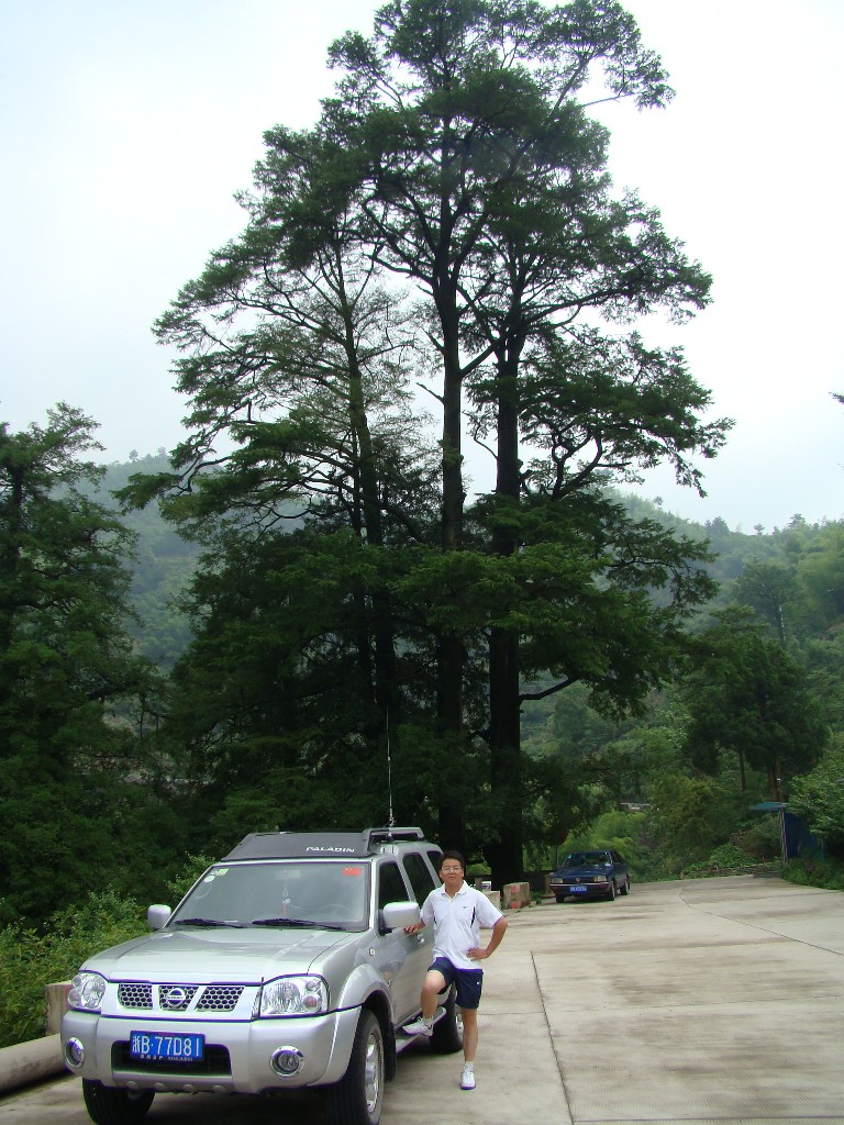 DSC02999.JPG