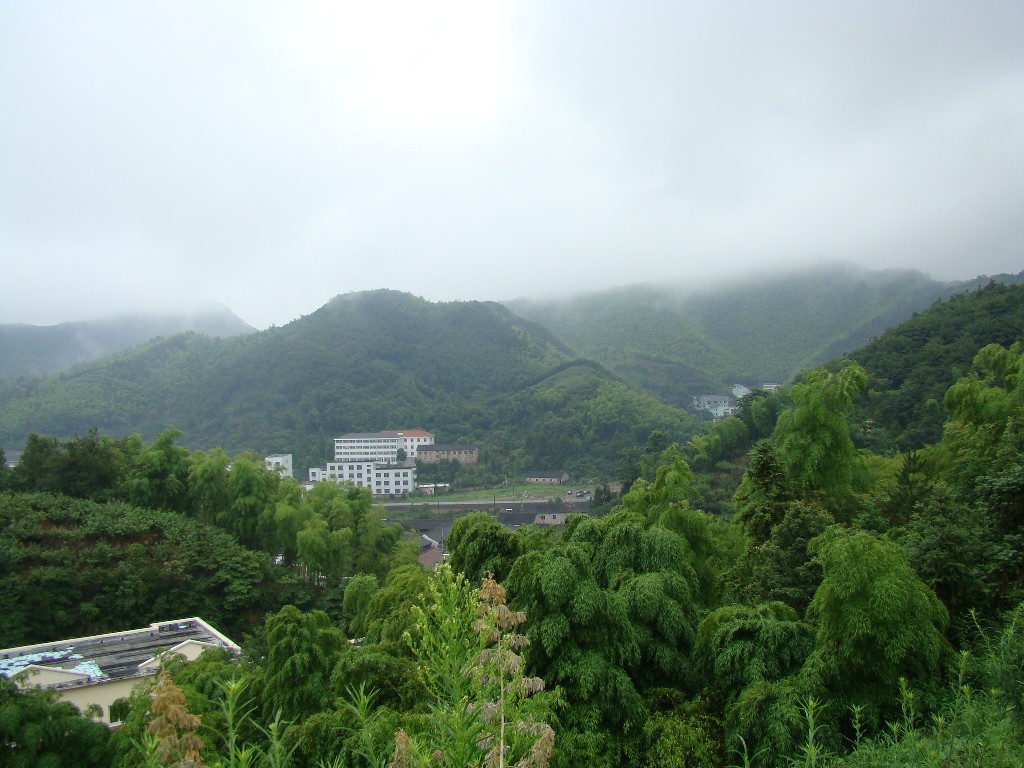 DSC02979.JPG