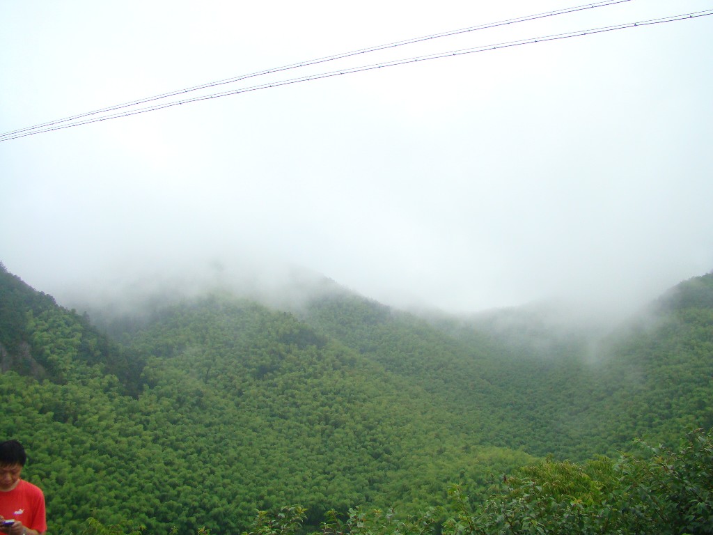 DSC02971.JPG