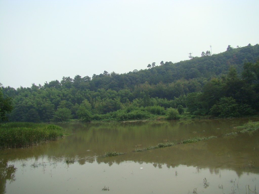 DSC03035.JPG