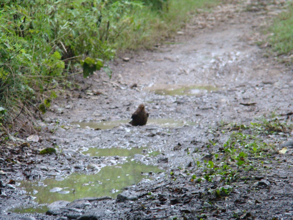 DSC03069.JPG