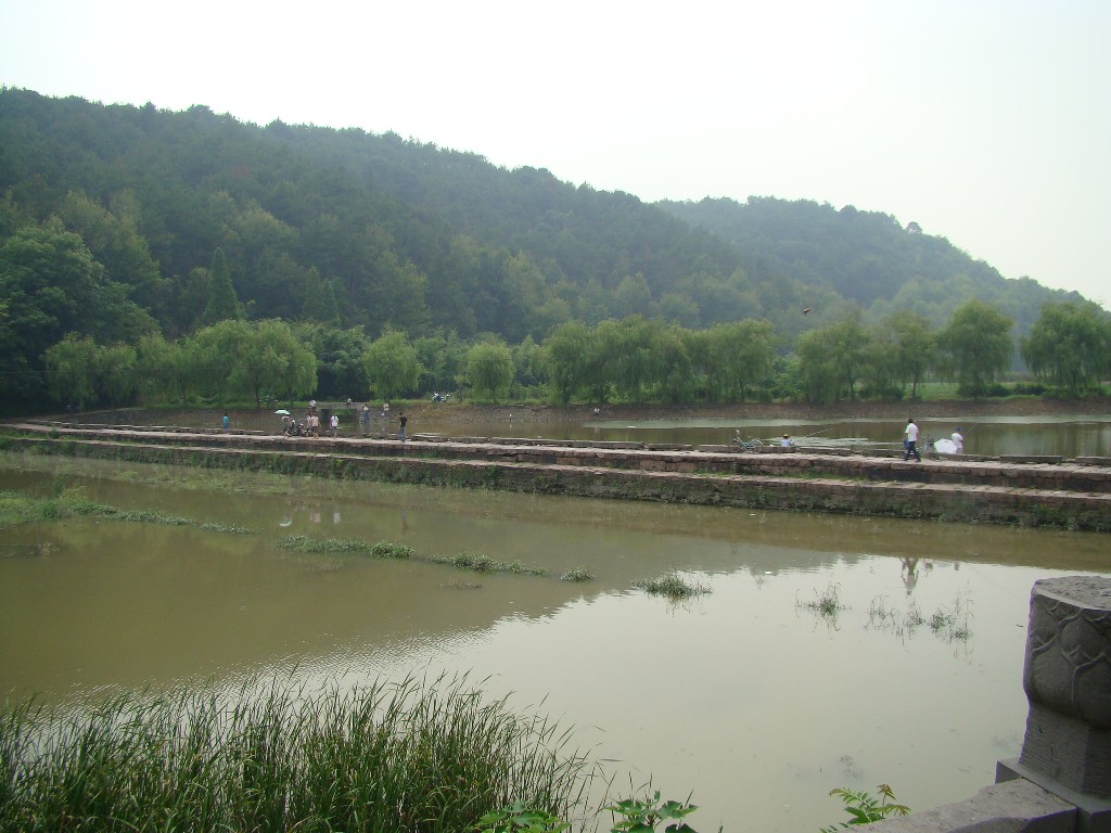 DSC03025.JPG