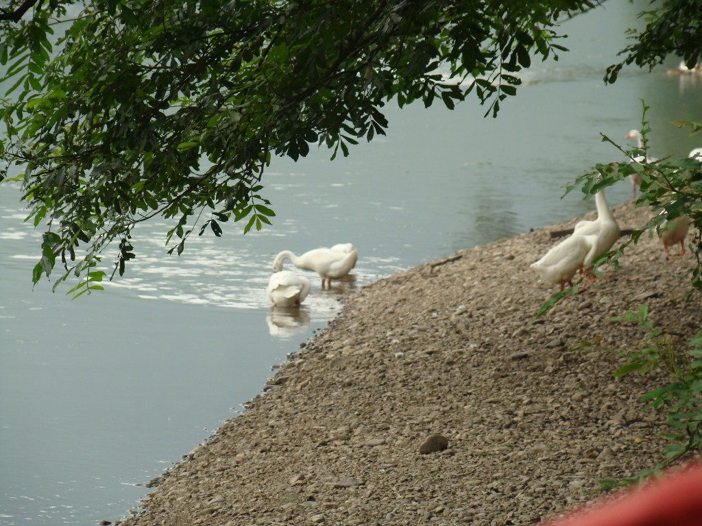 DSC03043.JPG