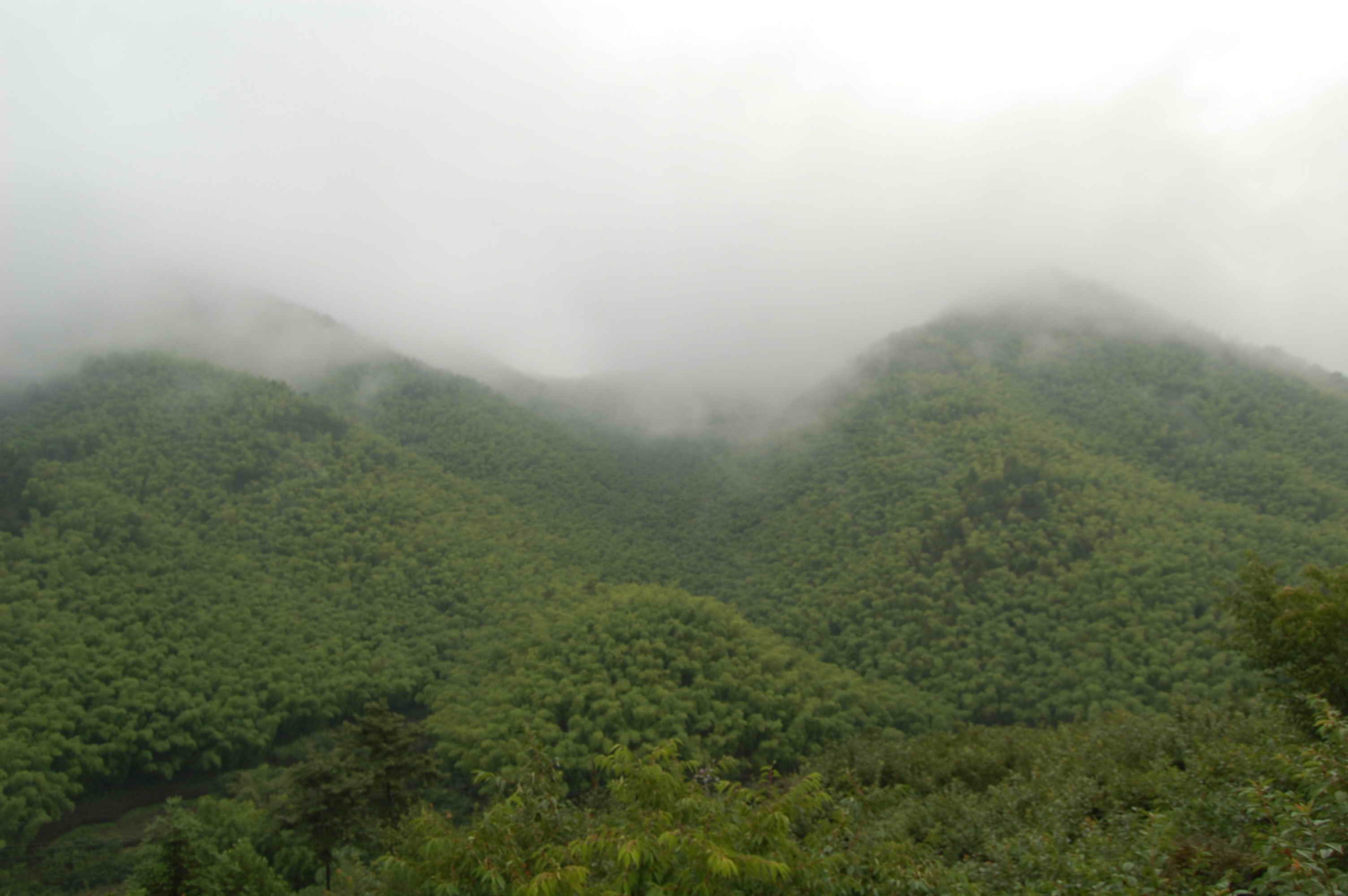 DSC_9893.JPG