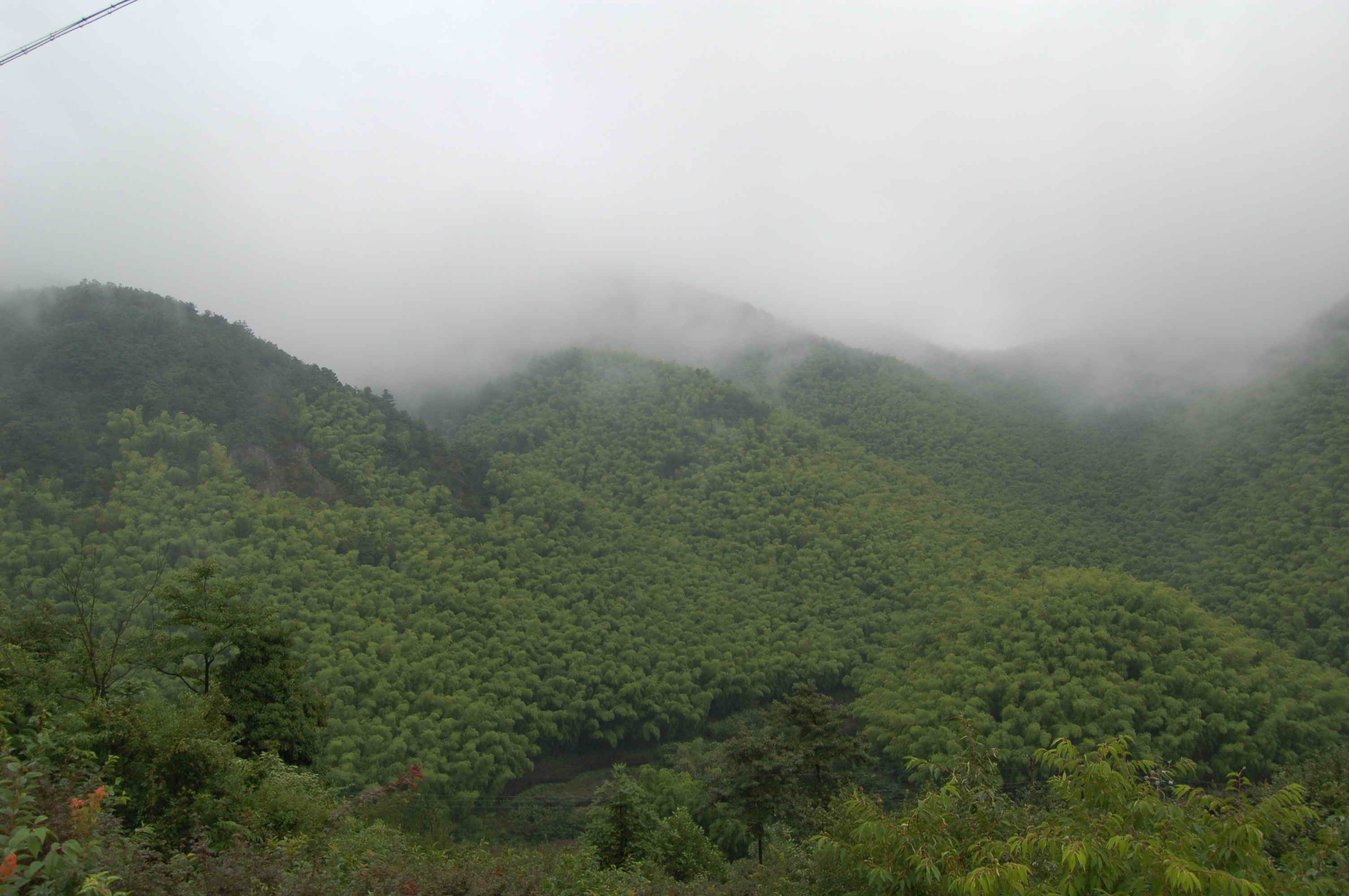 DSC_9894.JPG