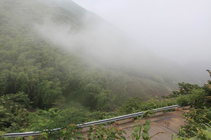 迷雾把山修饰得神离.JPG