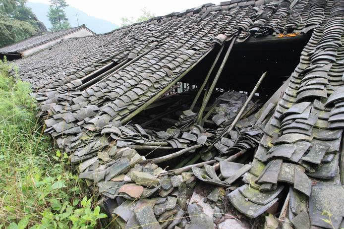 走进浙东第一古树村—-茅镬村06.JPG