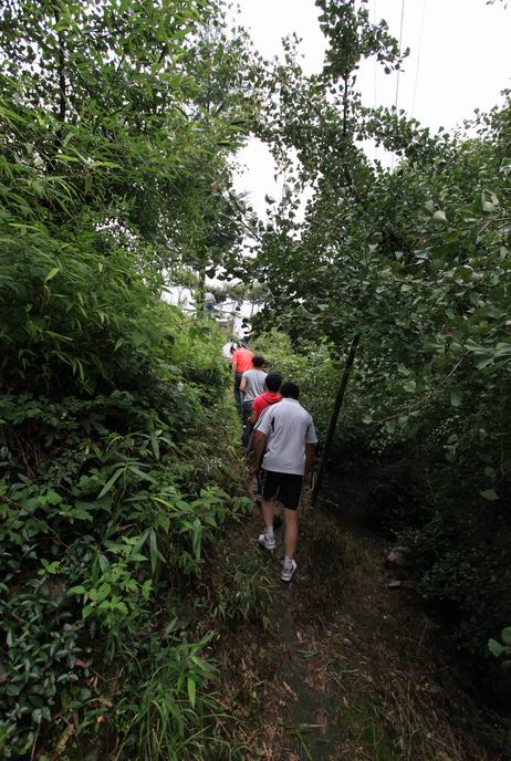 走进浙东第一古树村—-茅镬村09.JPG