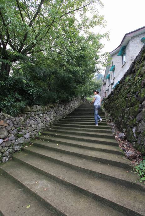 走进浙东第一古树村—-茅镬村05.JPG