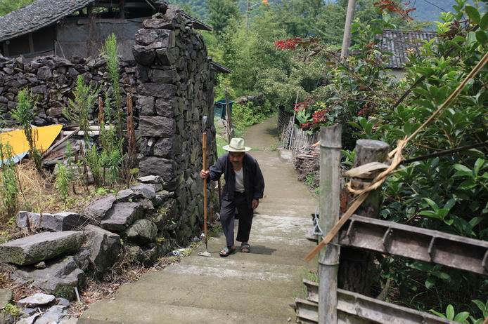 走进浙东第一古树村—-茅镬村11.JPG