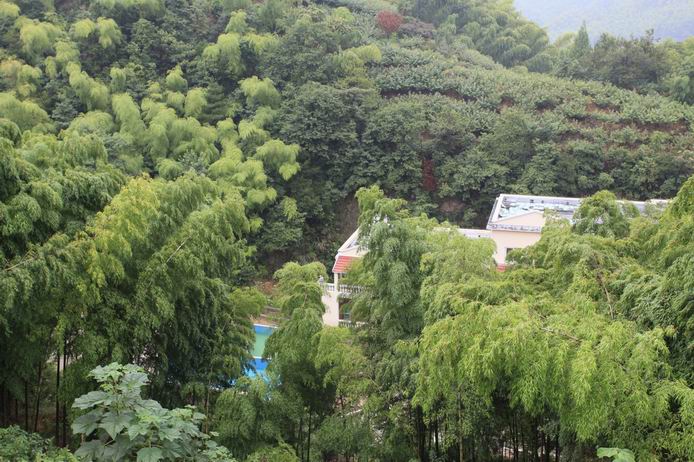 风景1.JPG