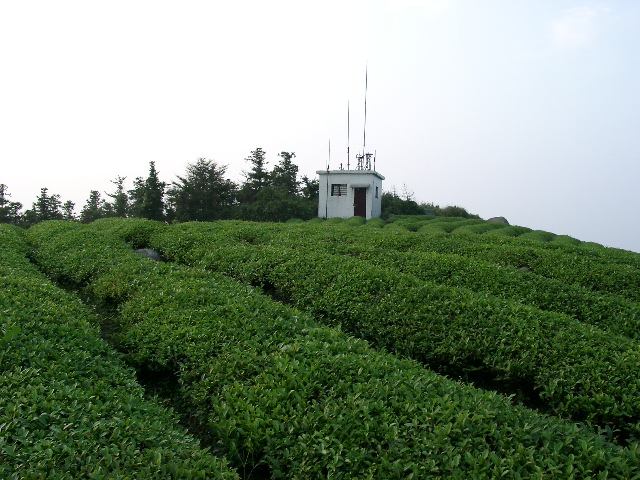 09140003.JPG