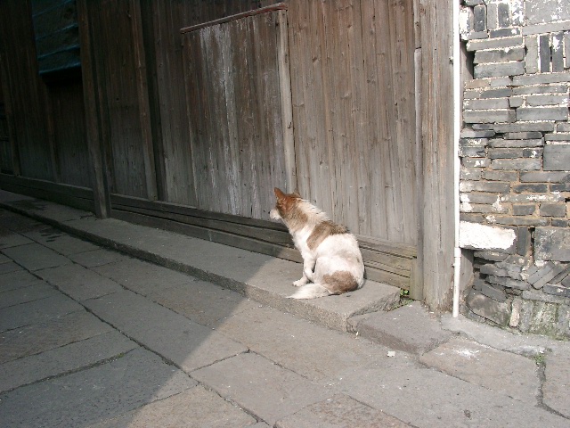 12030027.JPG