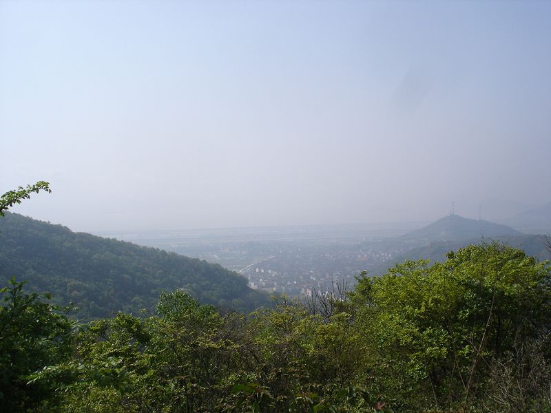 DSC08052.jpg