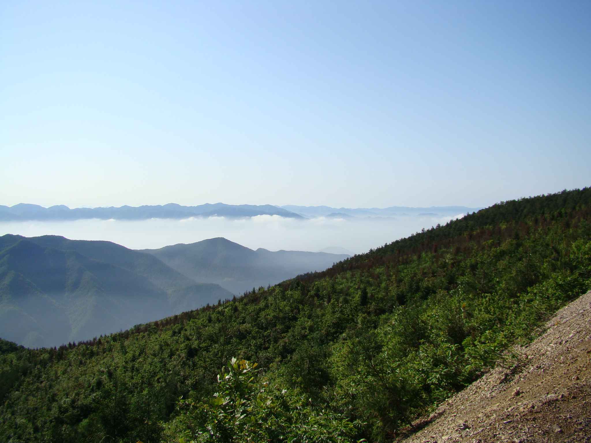 DSC04524.JPG