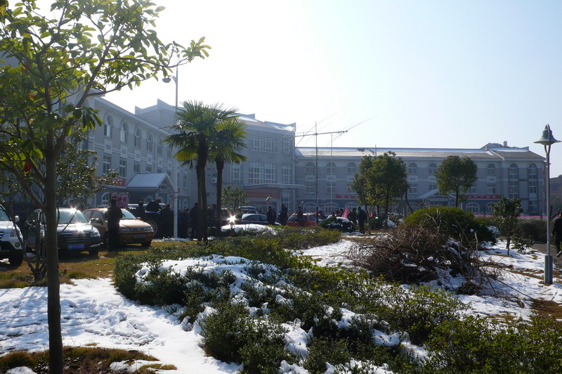 P1050088.JPG