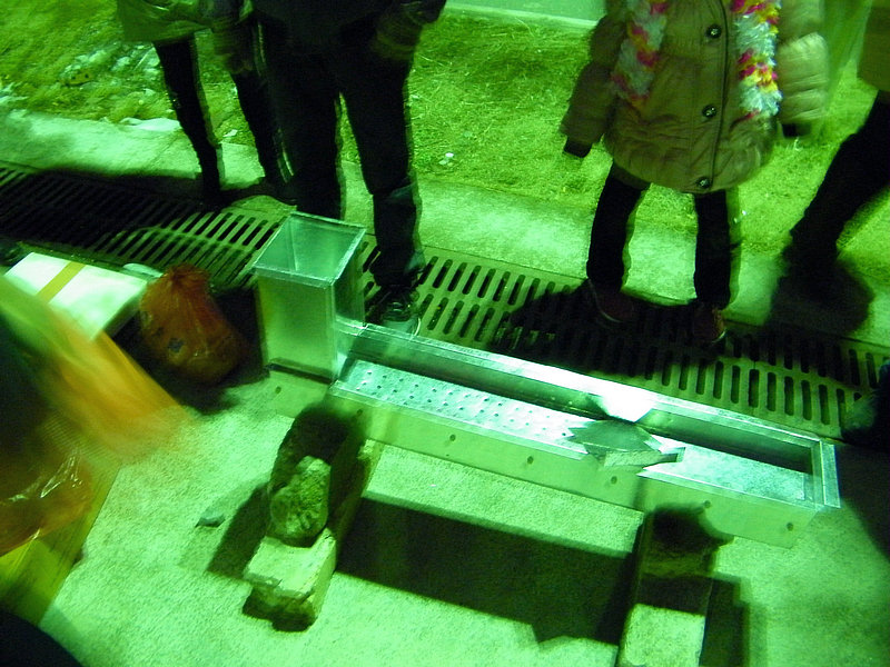 DSCF2550.jpg