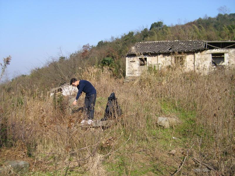 茶场房子前.JPG