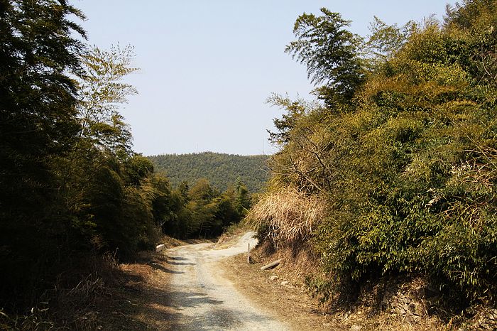 曾经繁忙的道路