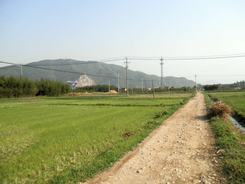 来到农田
