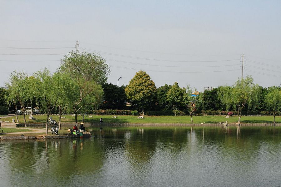 DPP_0034.JPG