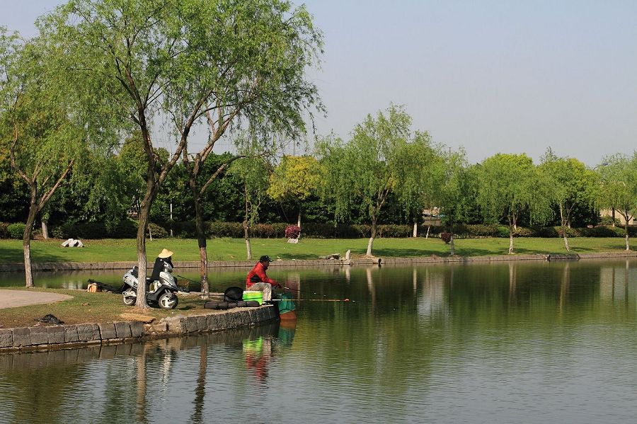 DPP_0041.JPG