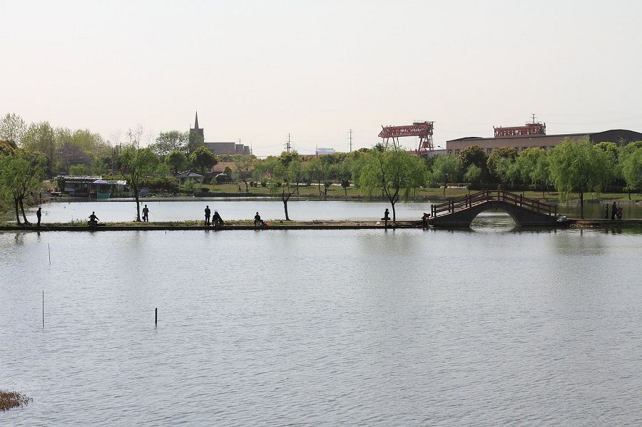DPP_0011.JPG