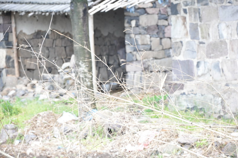 DSC_0036_缩小大小.JPG