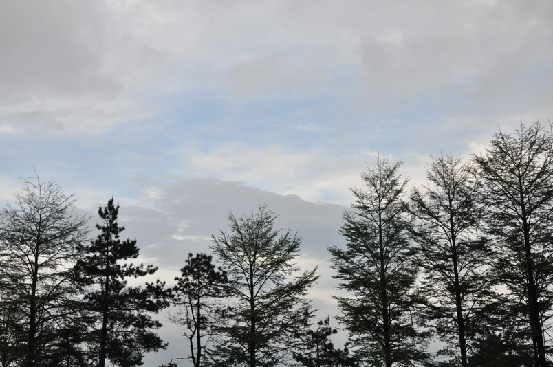 DSC_0037_缩小大小.JPG