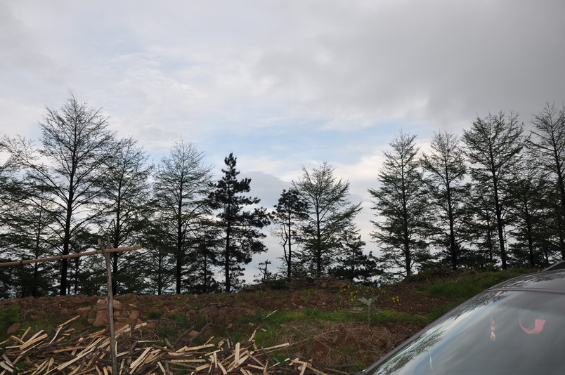 DSC_0040_缩小大小.JPG