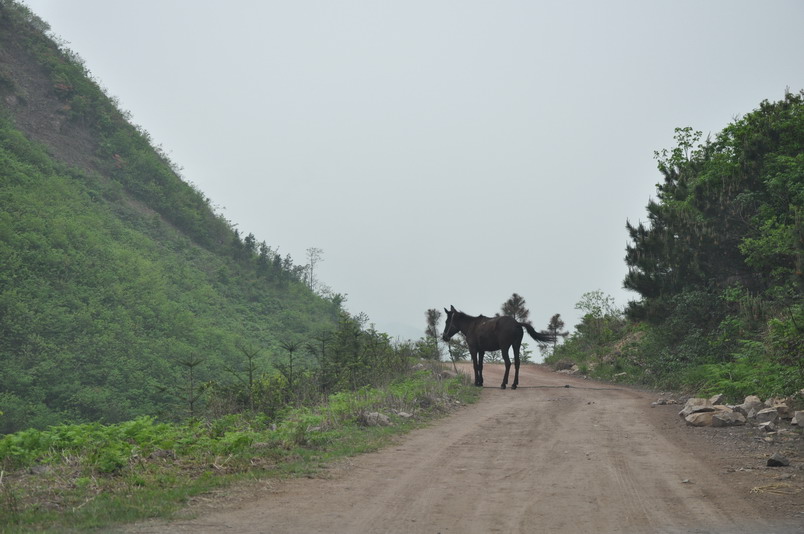 DSC_0045_缩小大小.JPG
