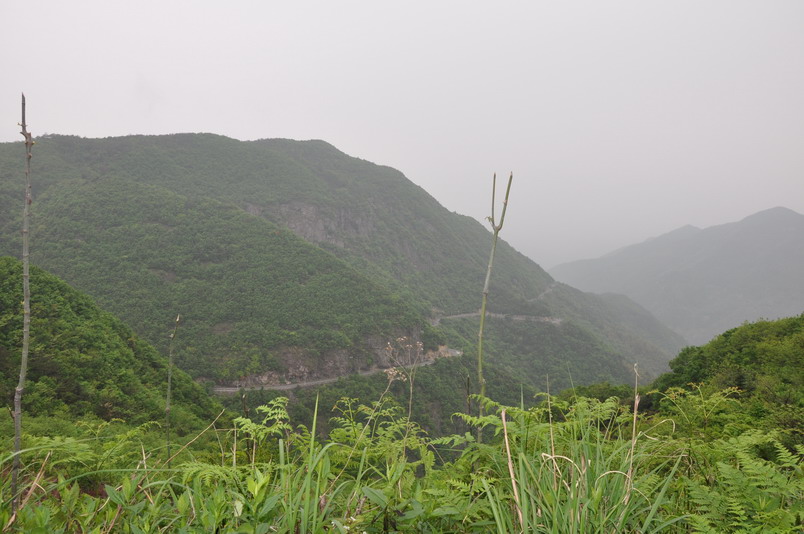 DSC_0047_缩小大小.JPG